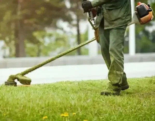 Odrzavanje zelenih površina